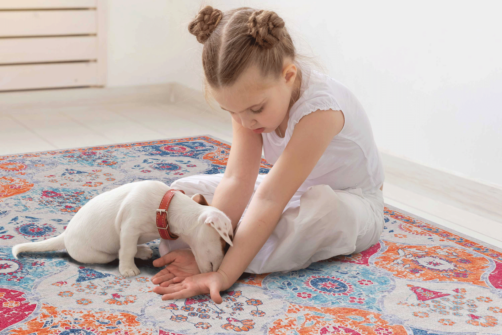 Washable Rugs