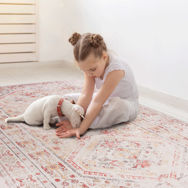 HOMERA Rug